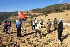 大理祥云县鹿鸣乡：走出“一村一品”产业扶贫新路子图片