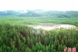 通讯：北纬52度林区深处的坚守图片