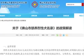 佛山市禁养烈性犬名录敲定！这6类犬种正式移出禁养名录图片