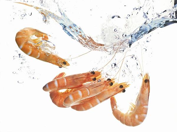 “优质蛋白质十佳食物排行榜”出炉，排名第一的竟是它