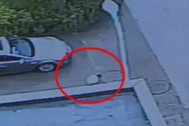 众人抬车、跪地托扶，被他们暖到了图片