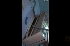 蝙蝠在居民空调里安家，清理时竟拉扯出1条1米长蛇！网友：生态真好图片