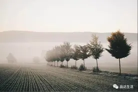 天之来鸿｜我的康复人生（4）图片
