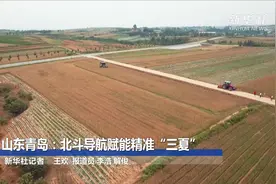 山东青岛：北斗导航赋能精准“三夏”