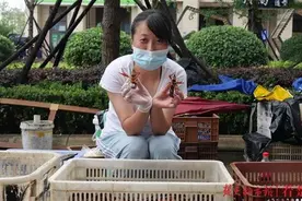 疫情影响下的导游去哪儿了？当代购、卖虾、做房产经纪人……各种自救挺难关图片