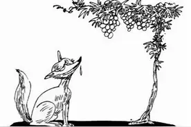 心理 | 狐狸为啥觉得葡萄酸？图片
