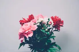 夜读 | 人生这三累，你经历了几个？图片