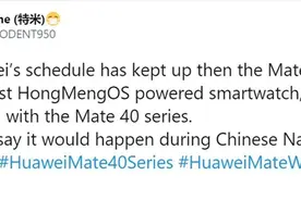 运行鸿蒙OS？华为Mate Watch曝光：与Mate 40同台发布图片