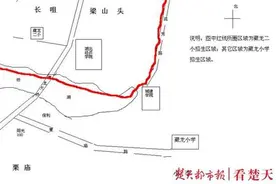 ​江夏庙山藏龙岛大桥片区中小学入学划片范围公布图片