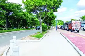 更方便了！番禺这个路段将增设人行道非机动车道图片