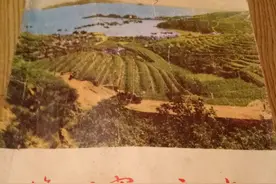 昔日黄海明珠獐子岛：养老金停发，年轻人外出谋生图片