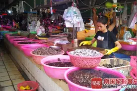 螺蛳被曝将列为国家二级保护动物，广西人今后还能愉快地撩螺吗？图片