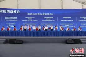 珠海斗门智能制造产业园超110亿项目集中签约动工图片