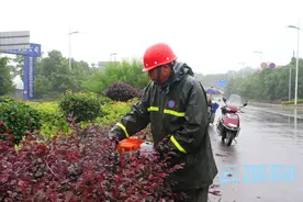 邵阳拍客｜邵阳市园林工人雨中坚守，美化绿化景观图片