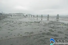 天文大潮加10级大风肆虐 滨海广场损毁城管紧急清理图片