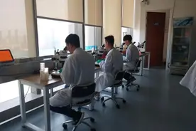 走向世界的这1毫米生物，原来是“台江制造”图片