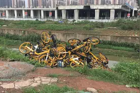 谁干的？河道边一夜之间堆放近百辆共享单车 警方已介入调查图片