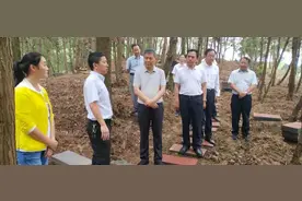 中国五矿董事、党组副书记董明俊赴中国五矿6个定点扶贫县开展调研督查工作图片