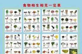 爸！妈！这些养生法子其实都是“伪科学”！图片