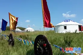 我们采访了提前“退休”的人 发现一个秘密图片