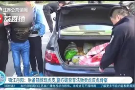 虎皮拉起来比民警整高出两个头！江苏警方破获非法贩卖虎皮虎骨案图片