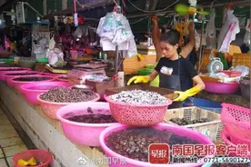 螺蛳或将被列为国家二级保护动物！广西人还能撩螺、吃螺蛳粉吗？图片