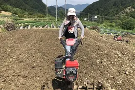 厉害了！女大学生回乡创业开拖拉机 带动村致富图片