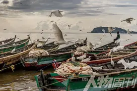 维多利亚湖生死录图片