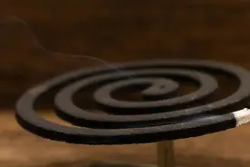 浙江男子一觉醒来吓傻，老婆大便失禁，差点没命！只因点了4根蚊香...图片