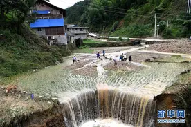 贵州榕江：积极开展灾后生产自救图片
