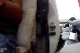 安全带锁扣损坏货车司机竟用这个代替！民警：不要命啦！视频封面