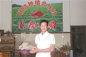昔日“瘾君子”变“红薯大王”图片