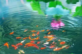 一个人最高级的活法图片