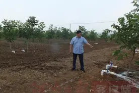 王世杰：为了大地的丰收图片