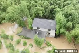 鸡脱险了，人被困了！杭州消防员到达湍急河边，这一幕太惊心图片