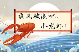 乘风破浪吧，小龙虾！视频封面