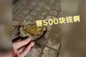 青岛游客海里捡鲍鱼被要500块 经调解村民退钱道歉视频封面