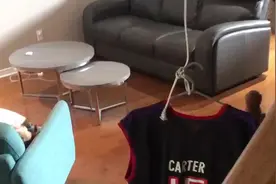 小卡球衣成亮点😂！猛龙球迷家中“退役”卡特球衣图片