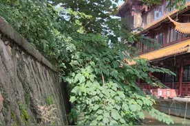突发！凌晨杭州运河边一对情侣落水 民警和路人下水救人疑似触电被送医！女生不幸身亡图片