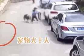 哈士奇突然扑向孩子，连续咬伤4人！狗主人就站在一旁……图片