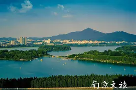 玄武湖的一生图片