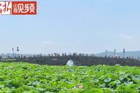 浙里杭州vlog丨小长假碰上放晴天 猜猜西湖边谁最“网红”图片
