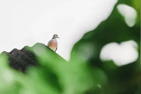 夜读 | 一半，一半……图片