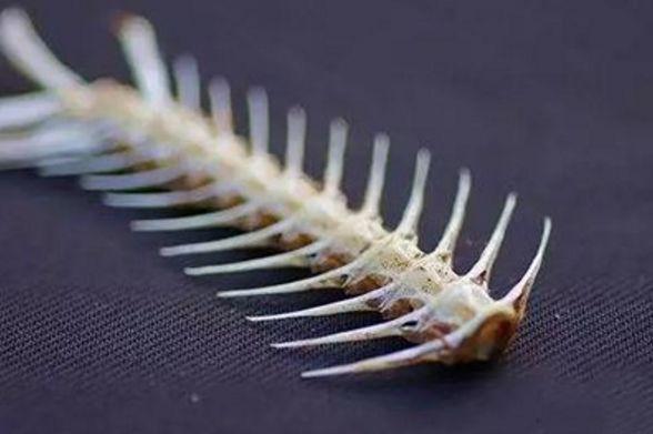 8大养生误区，越养越坏！快看看你踩了没