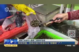 “螺蛳”拟被列入国家二级保护动物：网友炸锅——到底还能不能愉快地“嗍螺蛳”了？视频封面