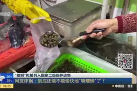 “螺蛳”拟被列入国家二级保护动物：网友炸锅——到底还能不能愉快地“嗍螺蛳”了？视频封面