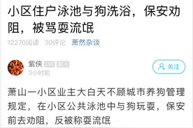 业主群炸锅！杭州一住户在小区公共泳池中与狗玩耍，保安劝阻反被骂耍流氓图片