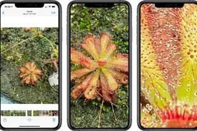 iOS 14照片放大倍数显著增加：对比iOS 13提升明显图片