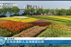 千亩花海浪漫醉人，云海翻涌美若仙境，江苏夏日景色太美！视频封面