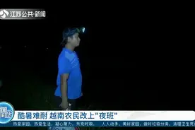 白天温度达40℃！越南农民改上“夜班”，凌晨2点下田劳作